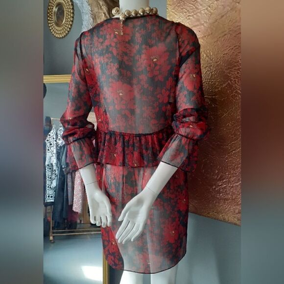Zara Chiffon Sheer Ruffled Mini Dress - Picture 9 of 13